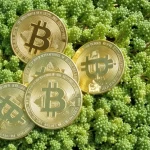 Why Bitcoin Mining Economics Are About to Shift Dramatically